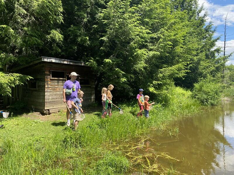 campers exploring beaver pond