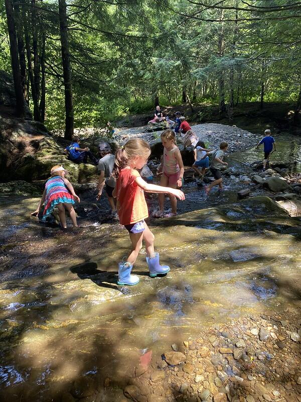 campers exploring the brook