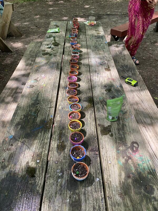 line of painted flower pots used at fairy nests