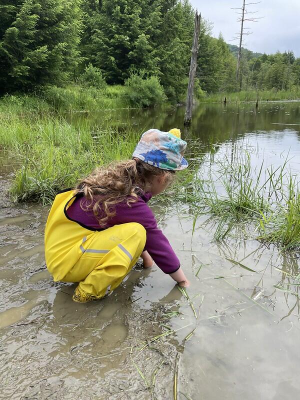 Campers investigating Beaver Pond