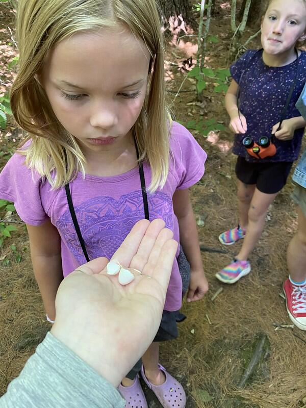 camper looking at broken bird egg in hand