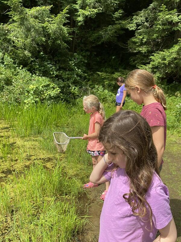 Catching critters at Beaver Pond