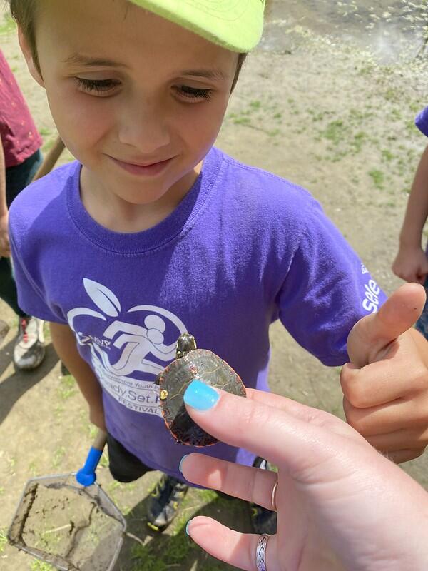 Painted turtle and camper looking at it