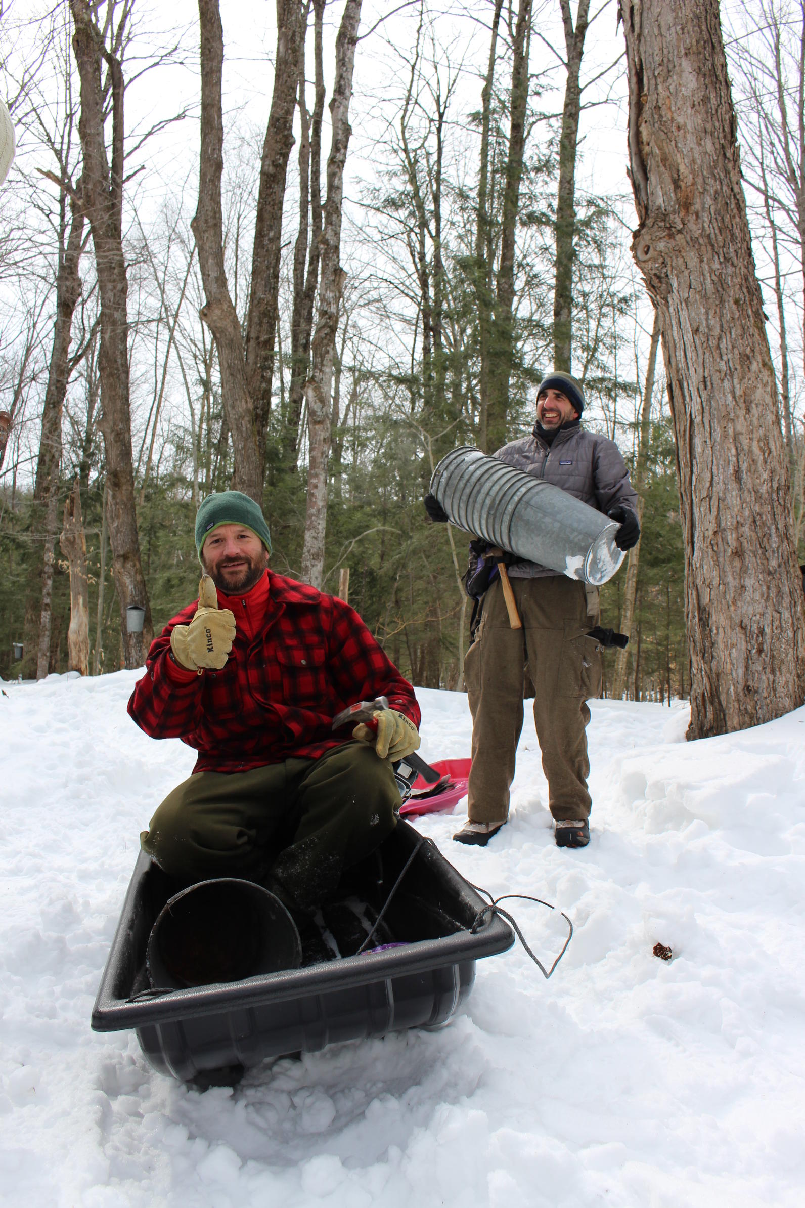 Maple Sugar Maker