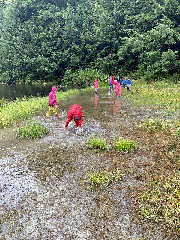Students at beaver pond in the rain