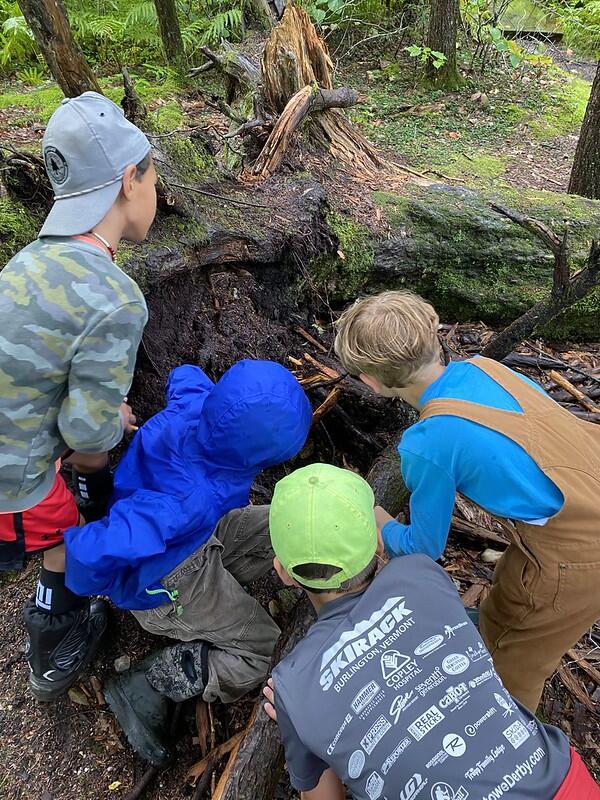 Students exploring fallen down tree