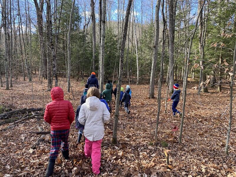 Students walking in the woods