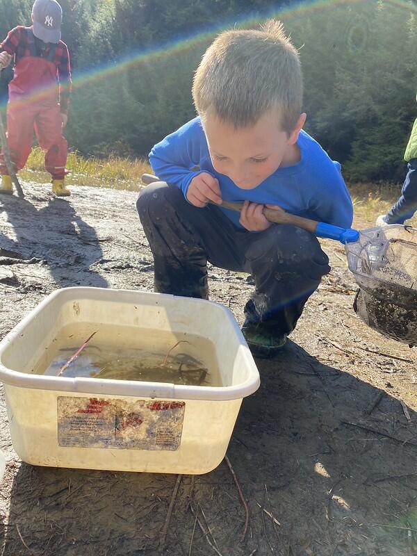 Student looking at frog