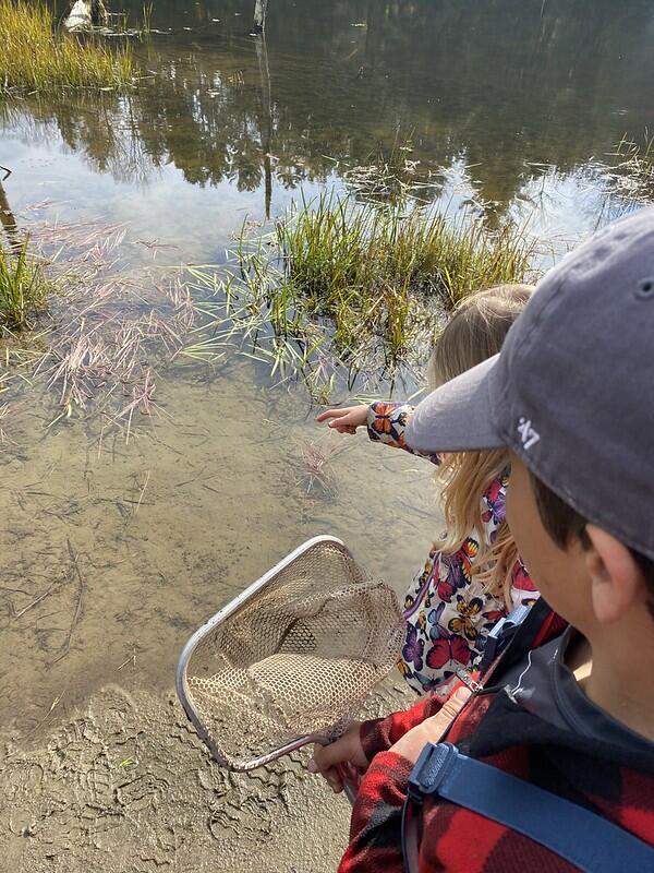 Student point out a newt