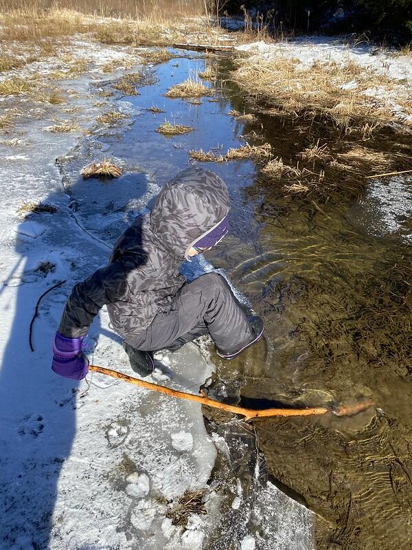 Student looking at pond ice