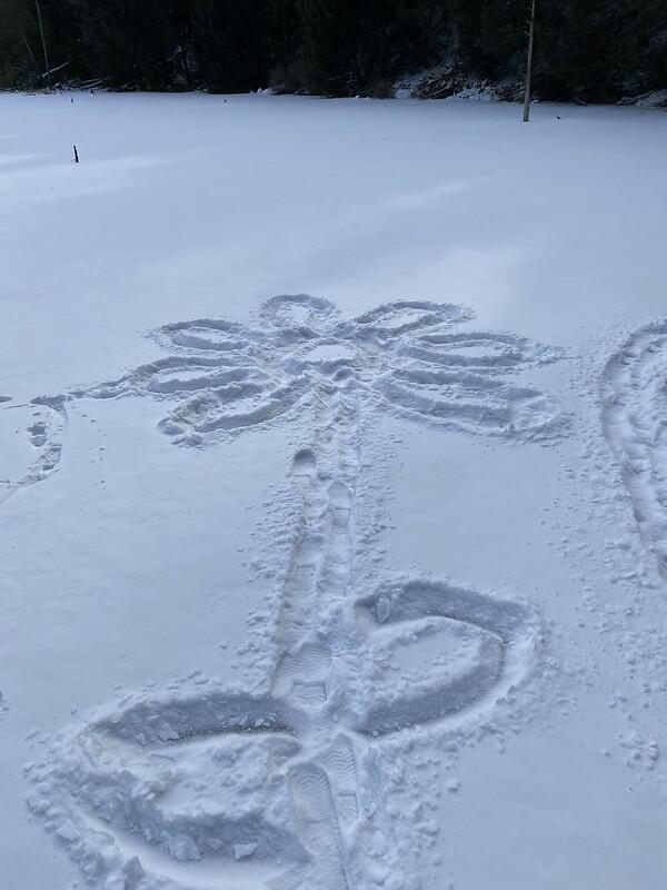 snow flower on pond