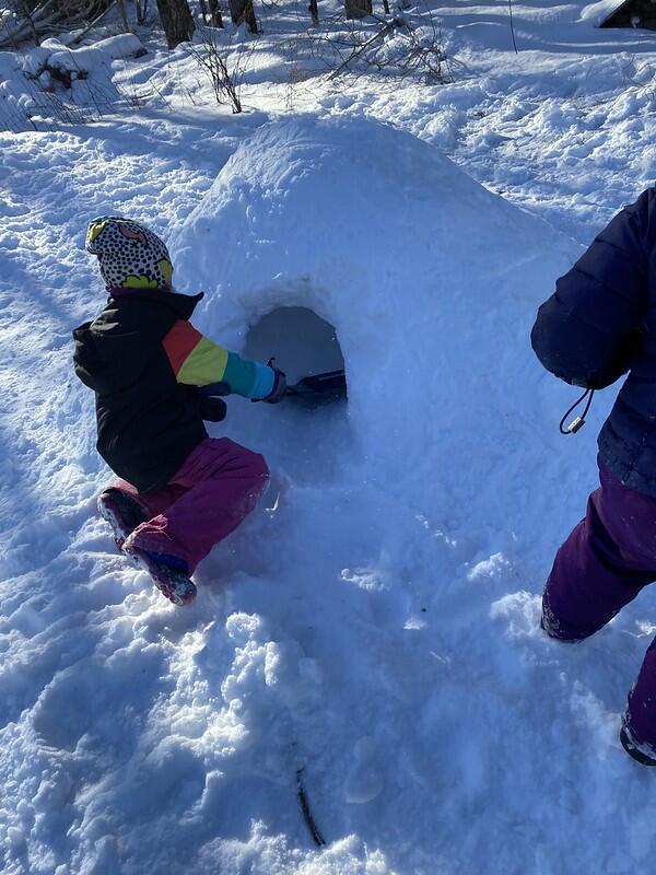Students digging our the hole