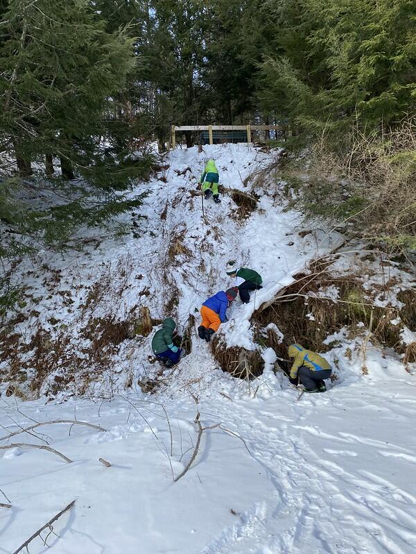 Students climbing pond bank