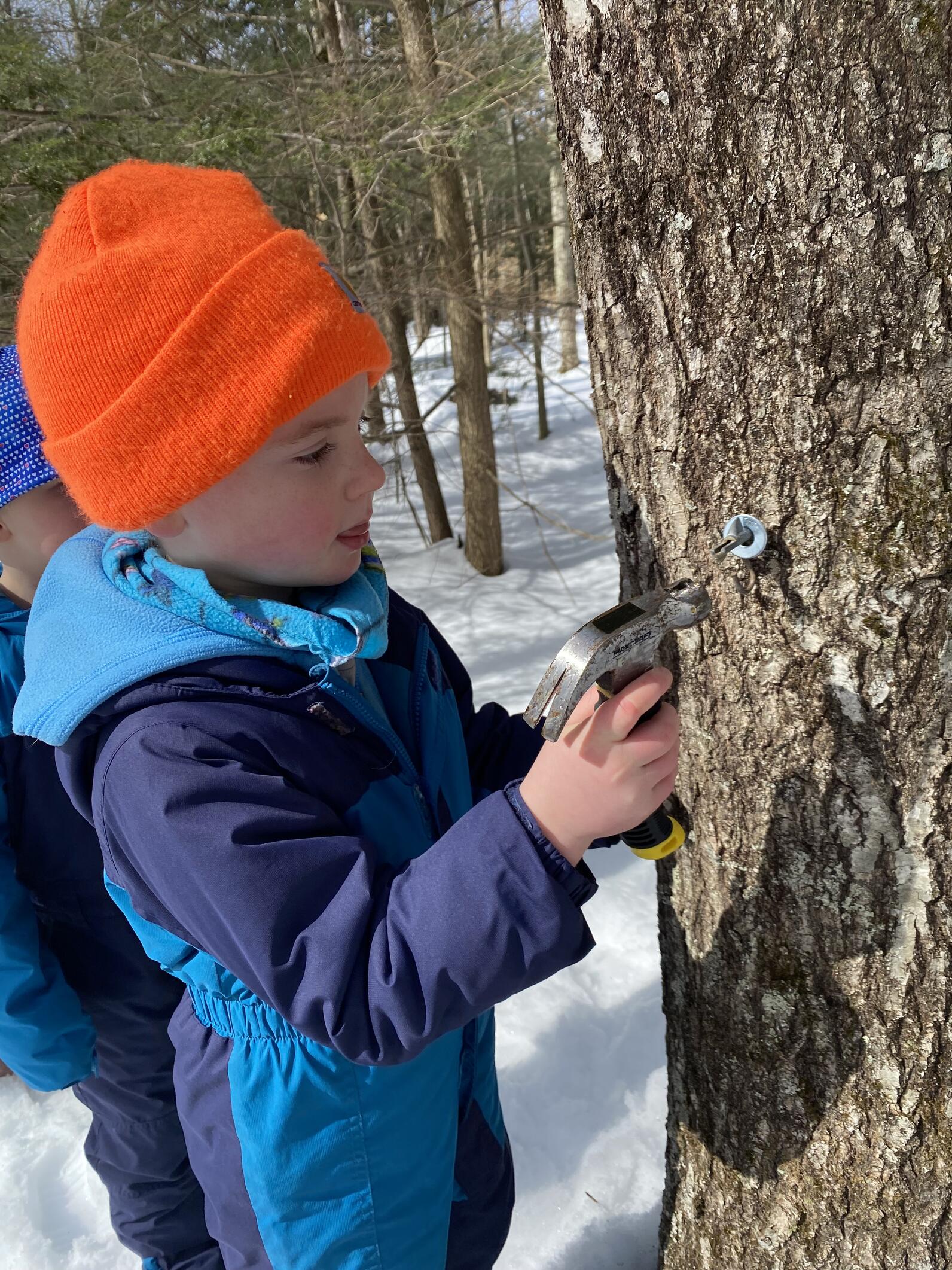 a child hammers a tap into a tree