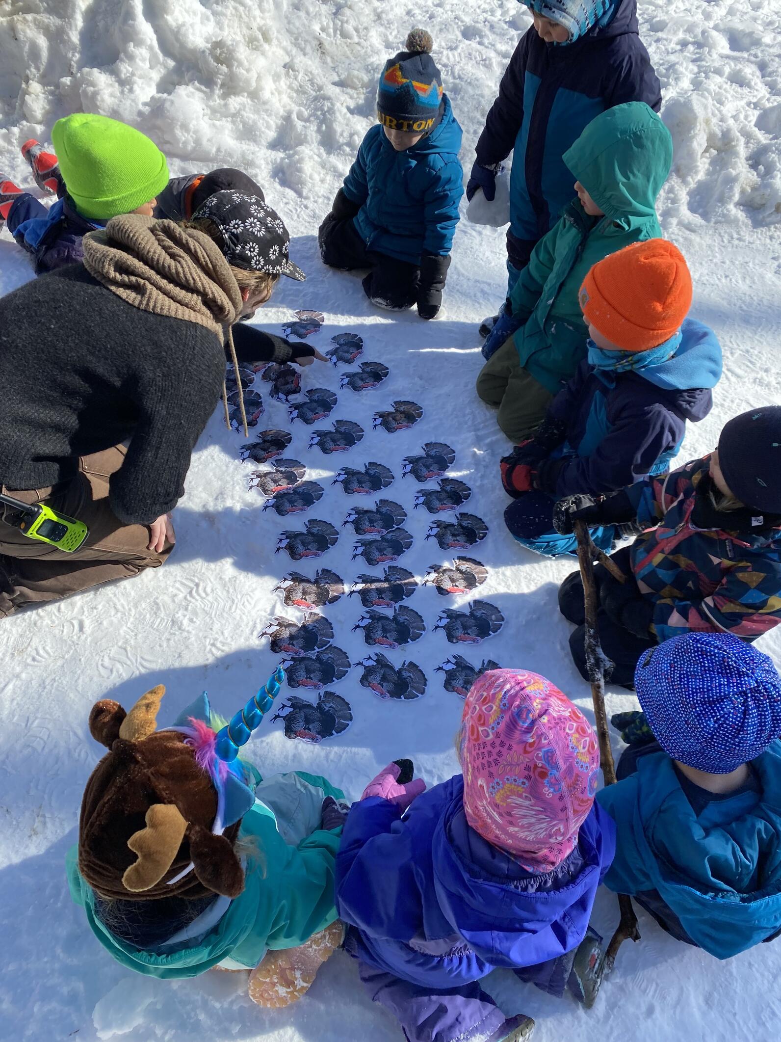children gather around pictures of animals laid out