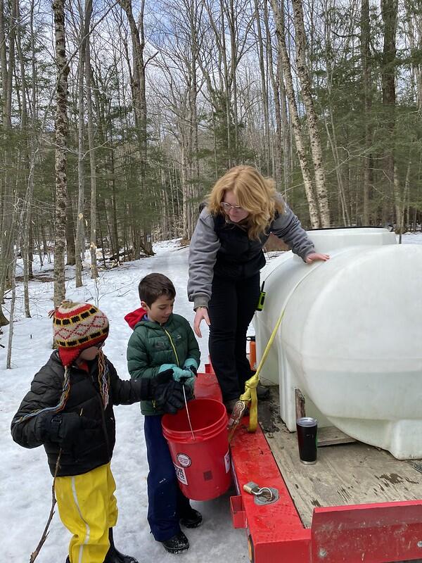 Pouring sap into holding tank Pouring sap into holding tank