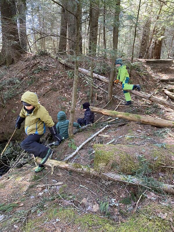 Students enjoying the brook