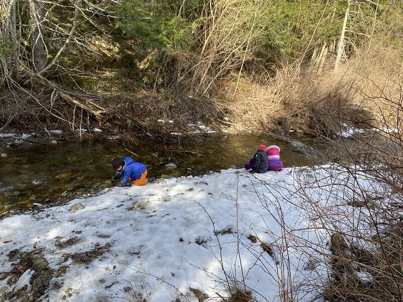 students on edge of brook