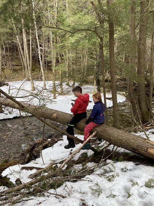 Students sitting on tree