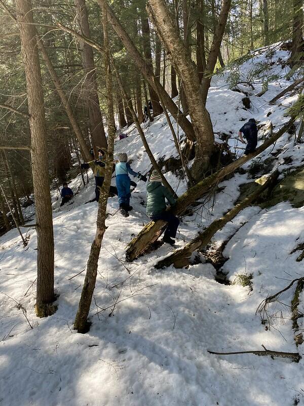 Students hiking around Beaver Pond