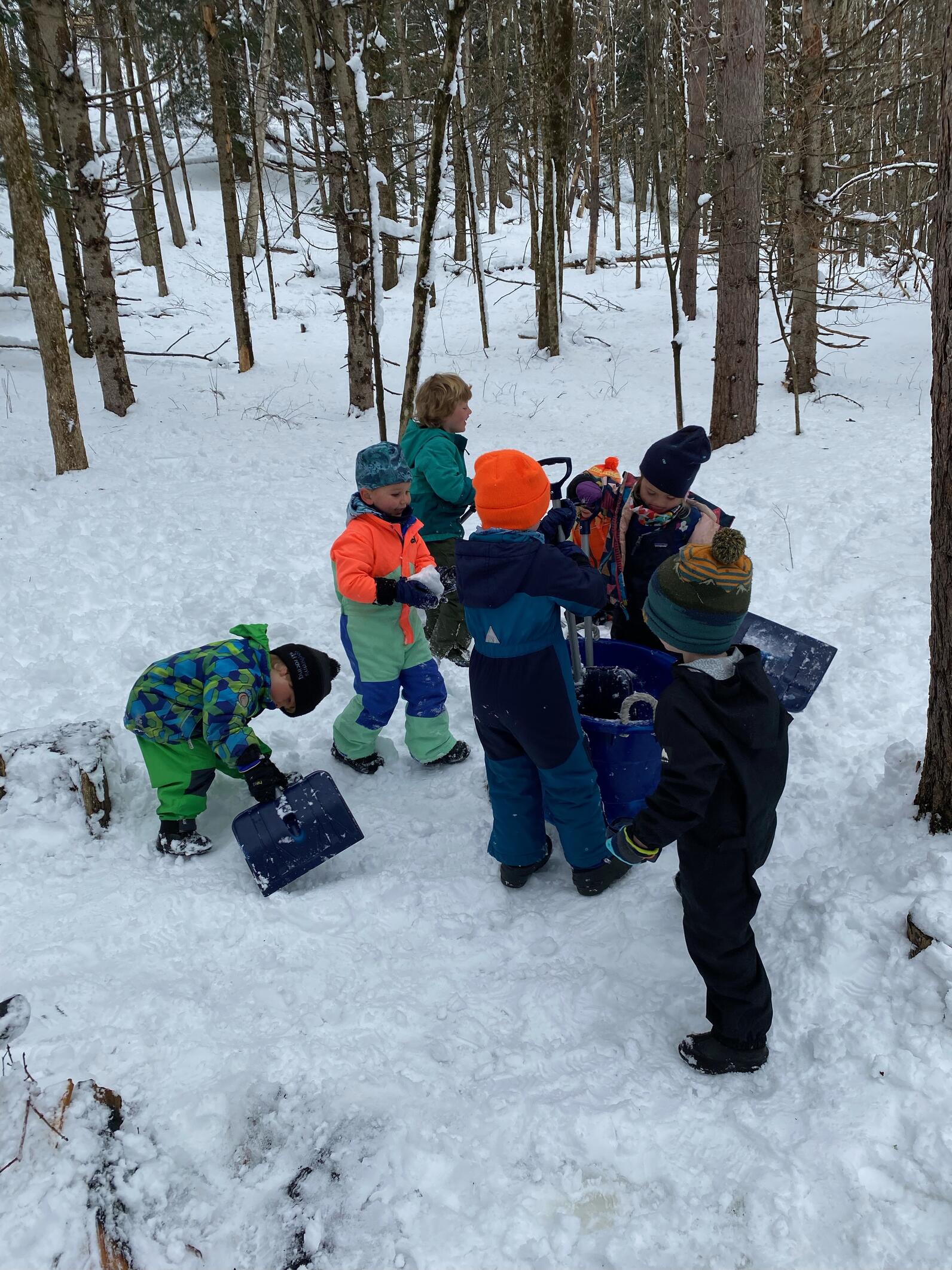 children play in the snow