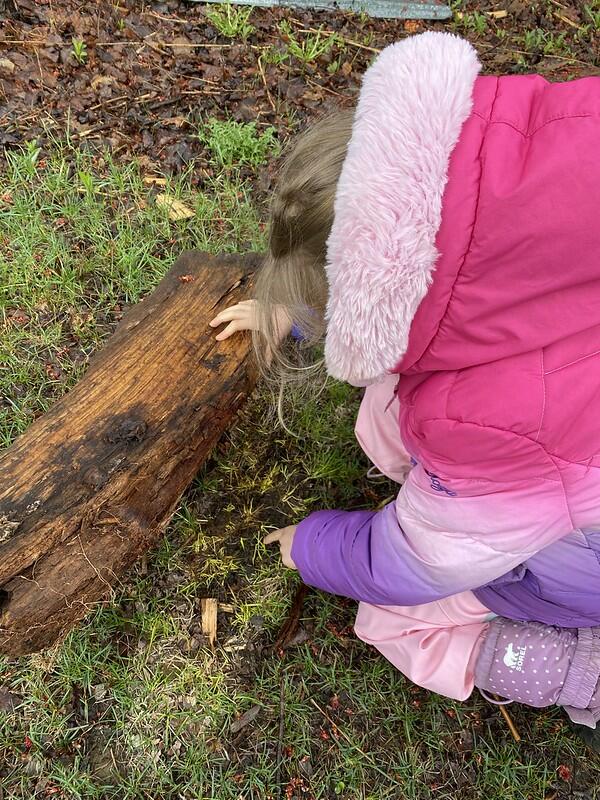 student turning over log