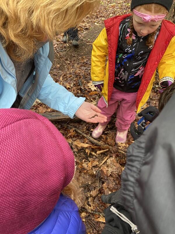 Students looking at a salamander 