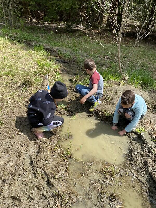 students at pond