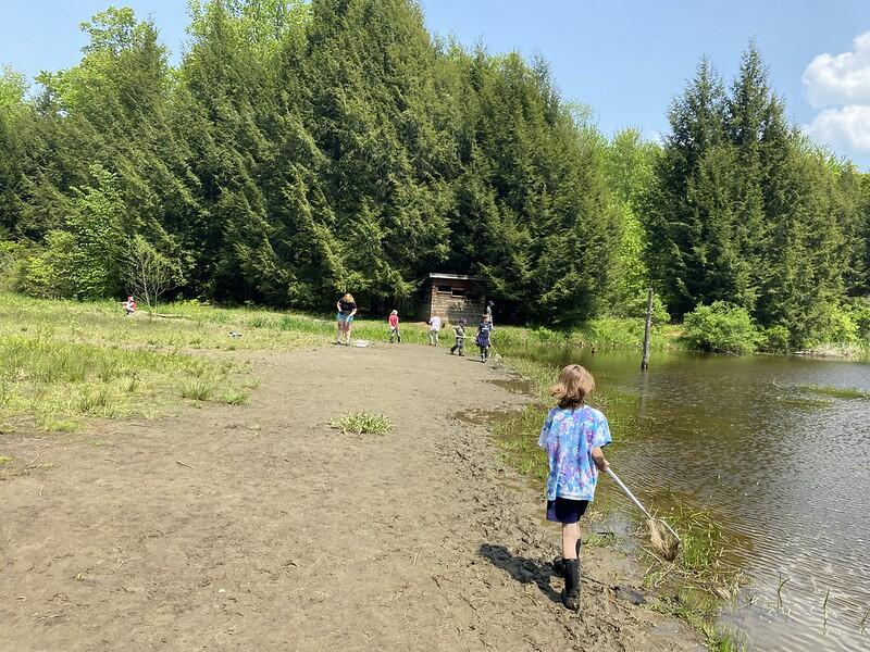 Beaver Pond exploring