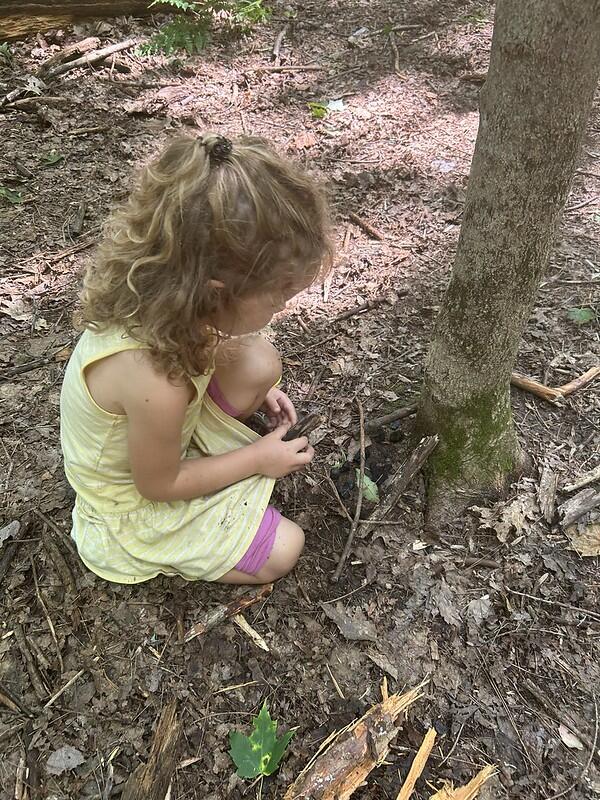 camper nest building