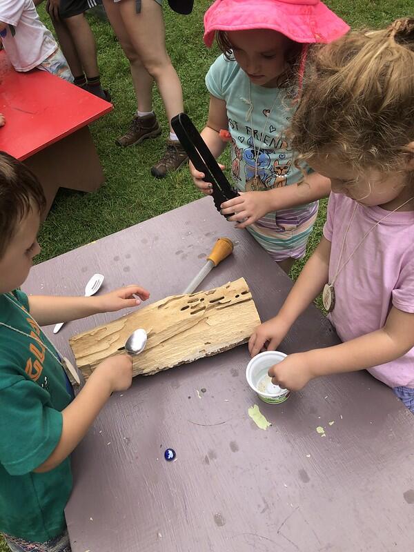 bird beak lesson