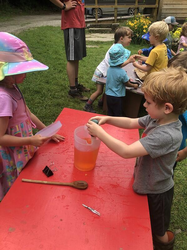 Students learning about Bird beaks Students learning about Bird beaks