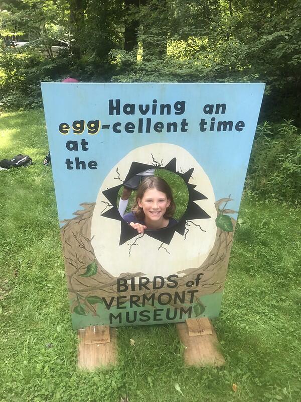 Birds of Vermont Museum