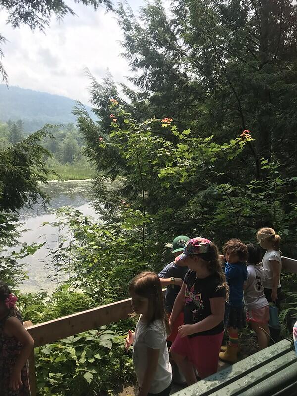Campers at beaver pond overlook