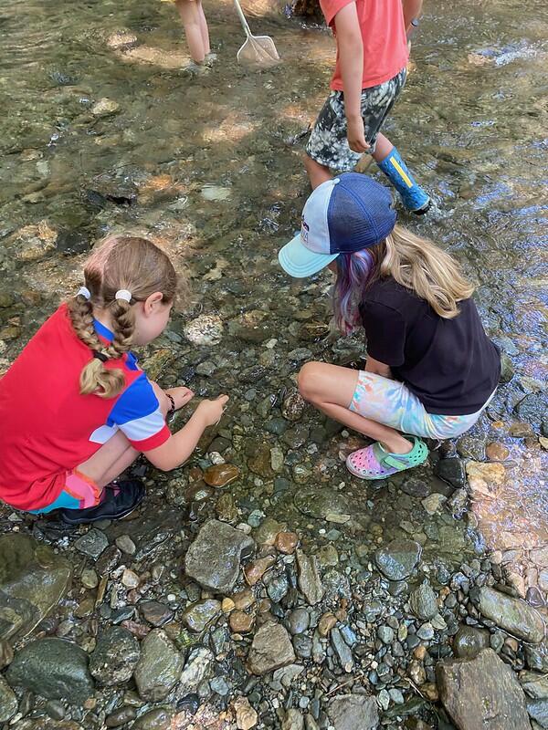 Students searching the brook