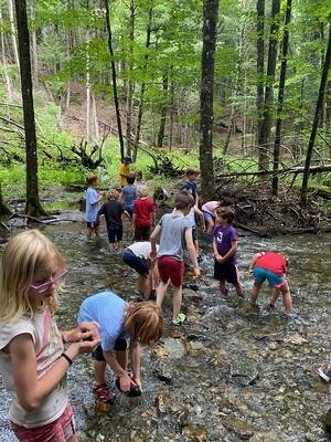 Students in the brook