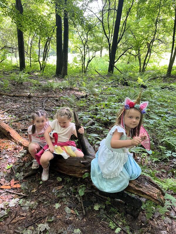 Fairy time at Forest Camp