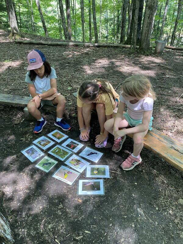 students learning bird songs