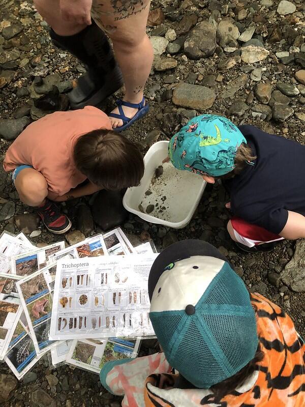 campers at the brook