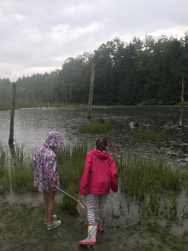 Students at beaver Pond