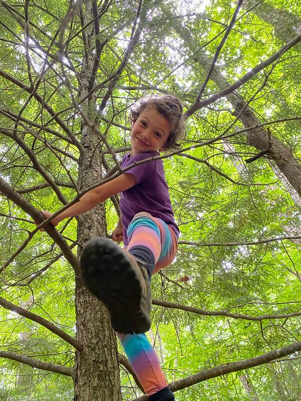 camper in tree