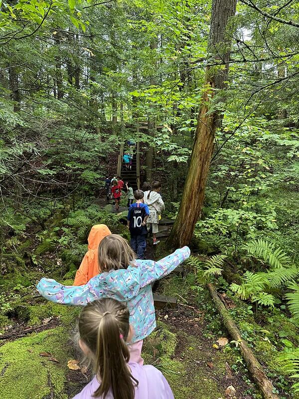 students hiking