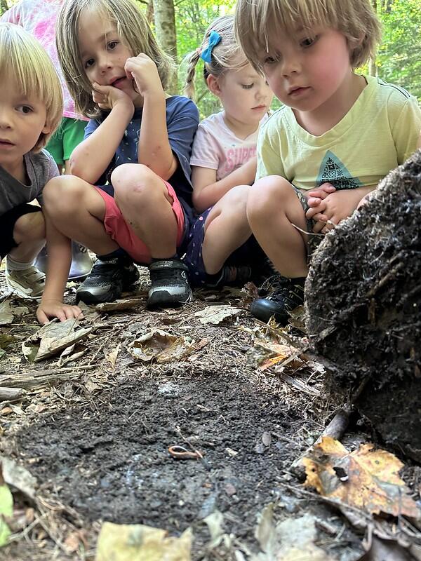 Students looking at a salamander 