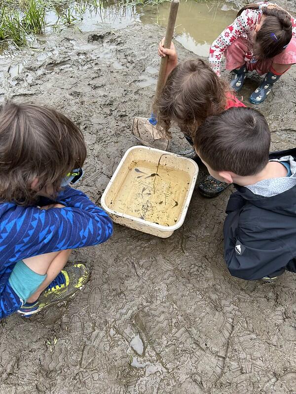 students looking in basin