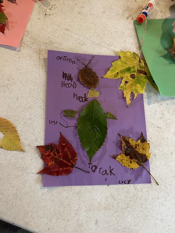 leaf insect art