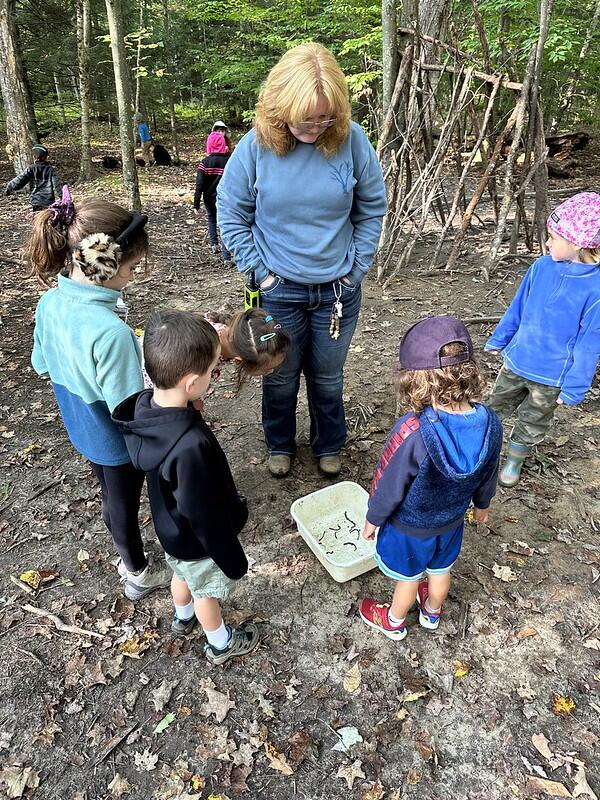 Students looking at Leaf Litter Search bin