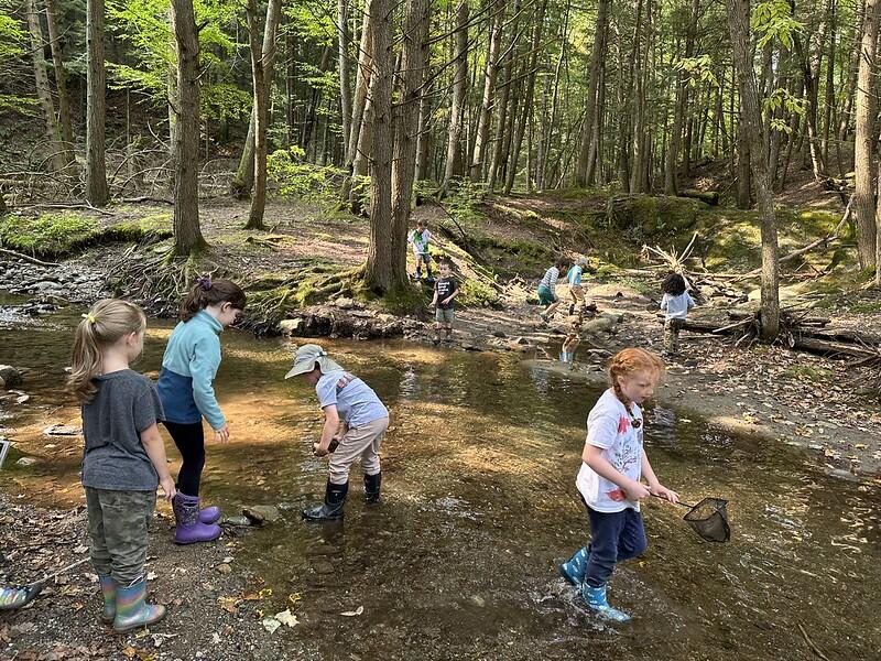 students exploring brook