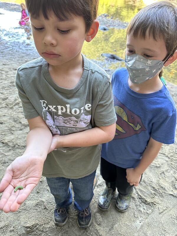 students with caterpillar 