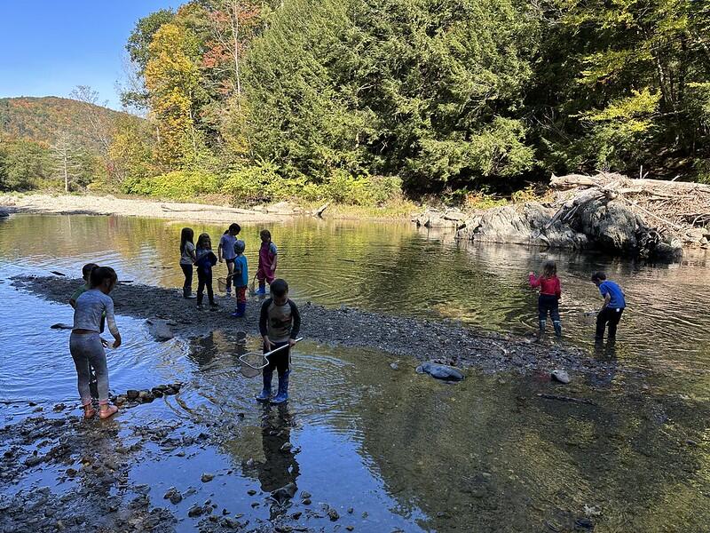Students exploring the river