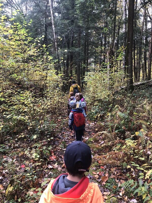 students hiking on a trail